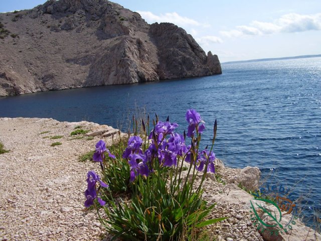 Naturpark Velebit 27